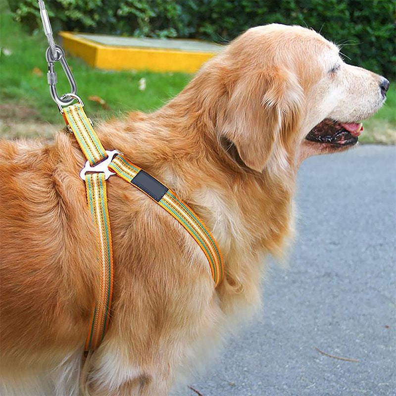 Dog Leash Chew-Resistant Steel Core Heavy-Duty Carabiners