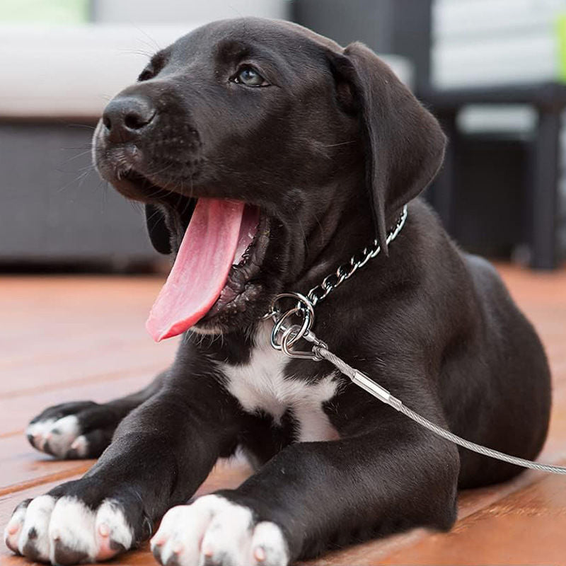 Dog Leash Chew-Resistant Steel Core Heavy-Duty Carabiners