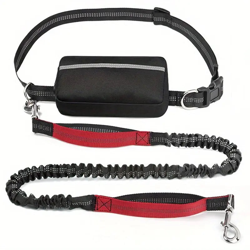 Dog Leash Hands-Free Shock-Absorbing Bungee & Zipper Pocket
