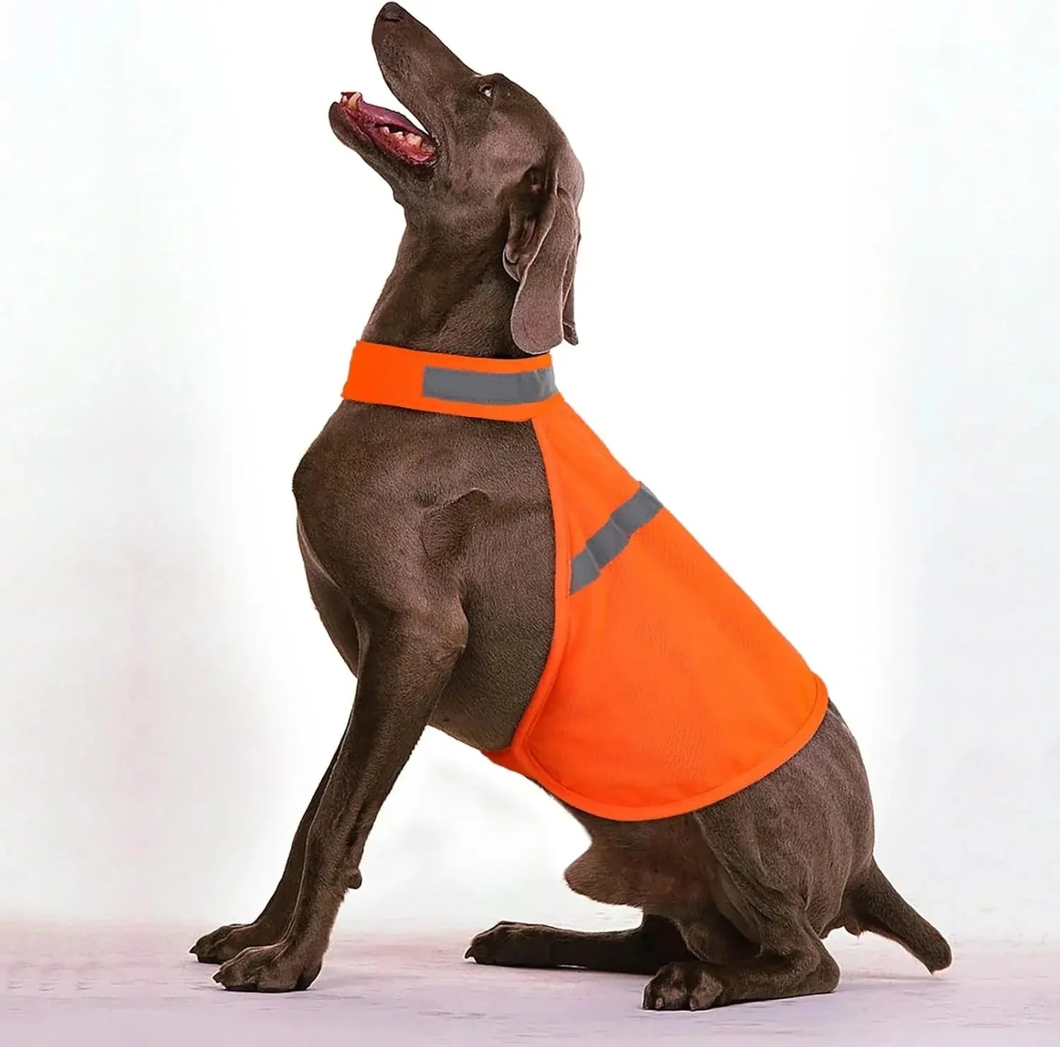 Dog Safety Vest High-Visibility Reflective Strips Adjustable Straps & Lightweight