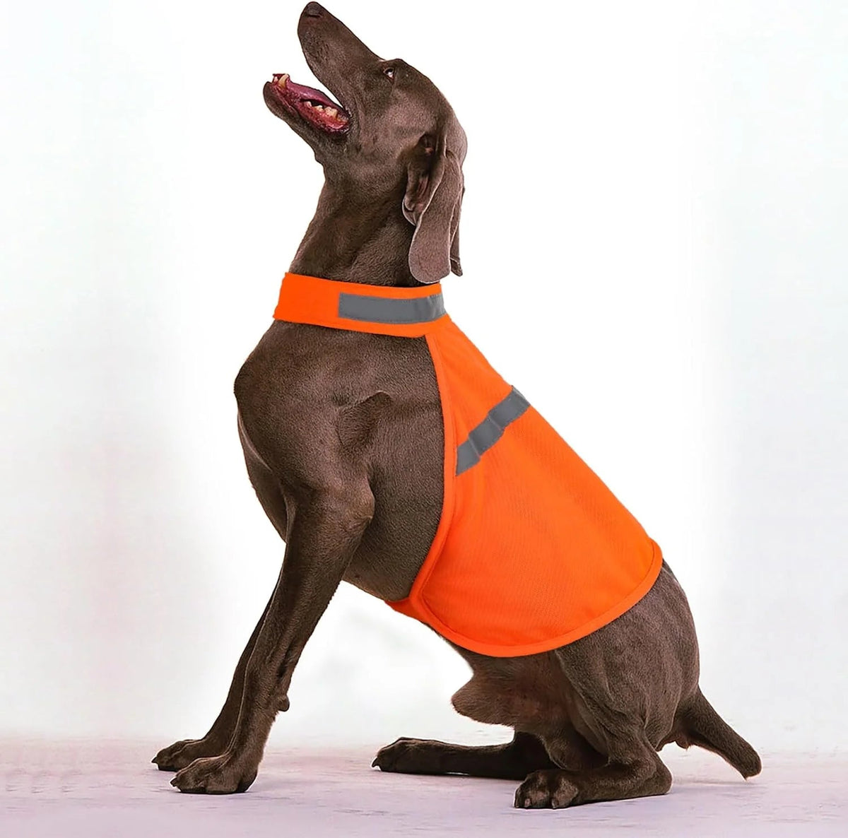 Dog Safety Vest Reflective Strips Adjustable & Lightweight