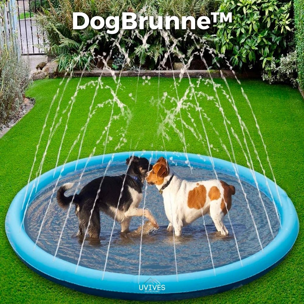 Dog Splash Pad Hose-Connected Foldable & Portable