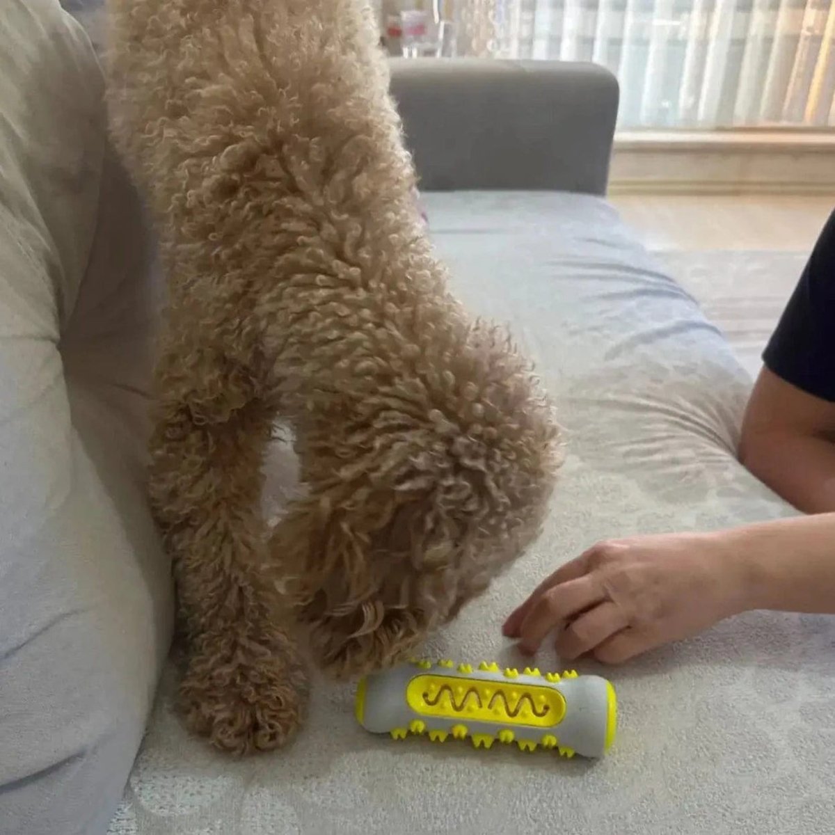 Dog Toy Chew-Resistant Lavender & Chamomile