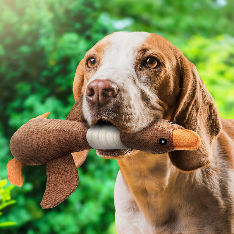 Dog Toy Duck Chew-Resistant Dental Health Organic & Non-Toxic
