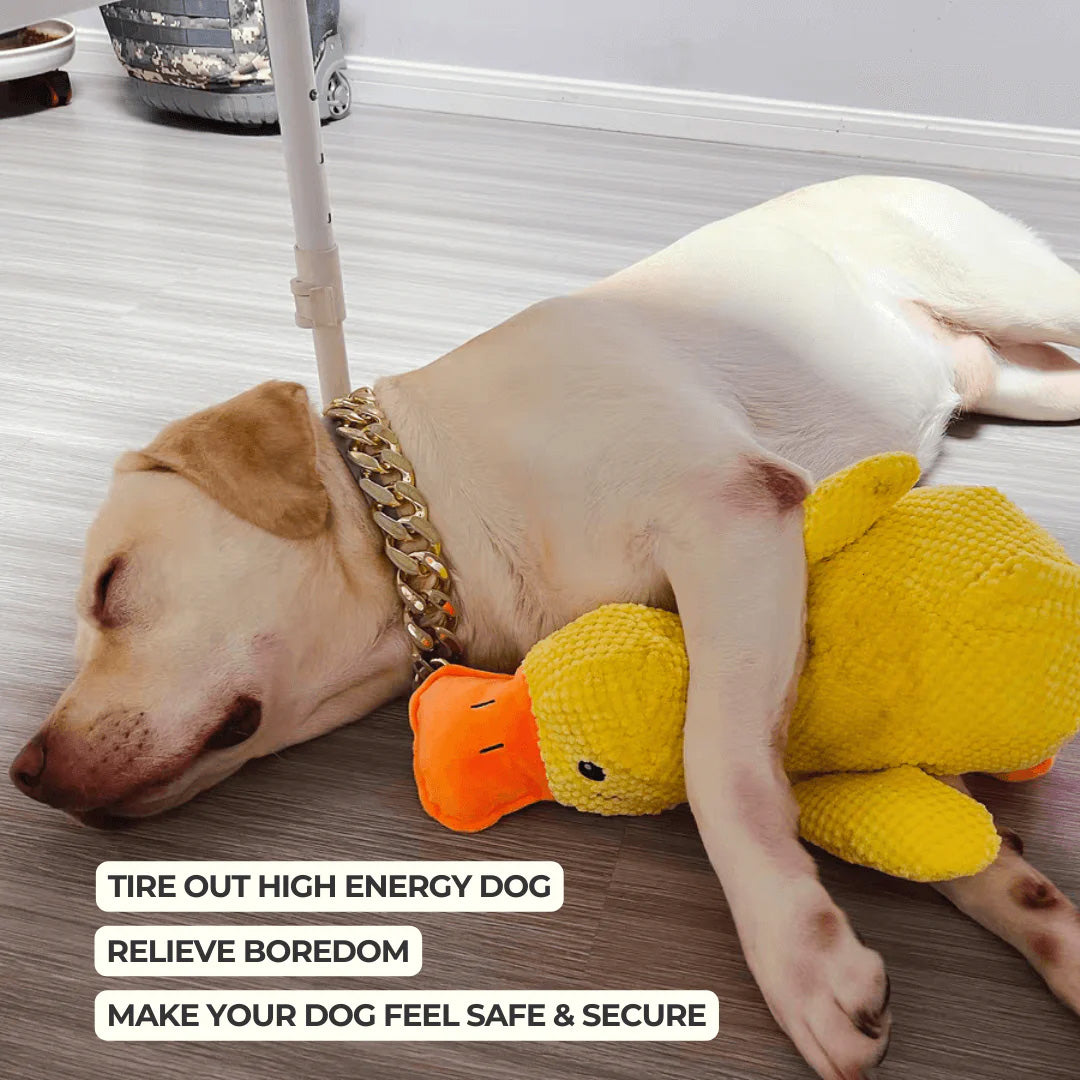 Dog Toy Hand-Sewn & Eco-Friendly Plush Squeaker