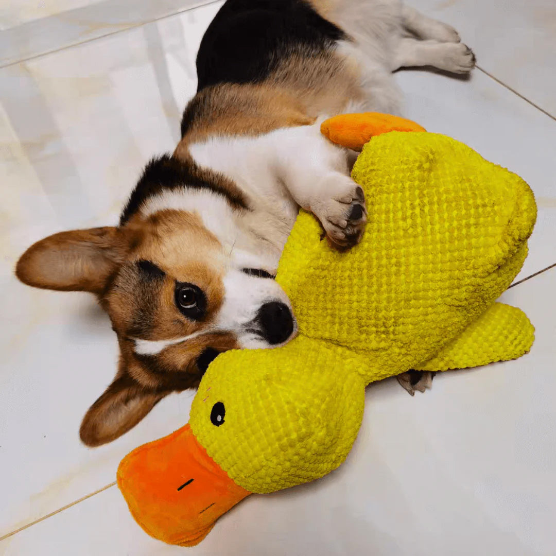 Dog Toy Hand-Sewn & Eco-Friendly Plush Squeaker