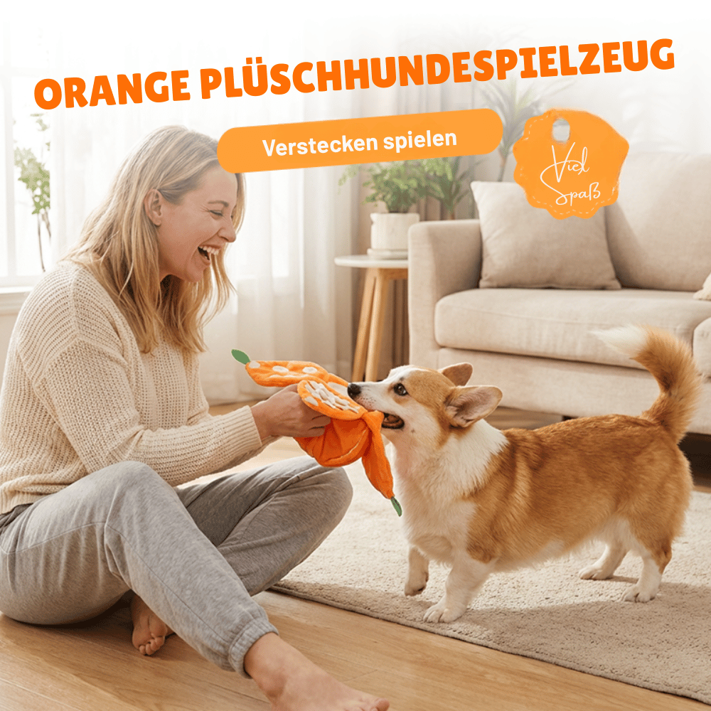 Dog Toy Interactive Treat Puzzle Plush Squeaker & Crinkle