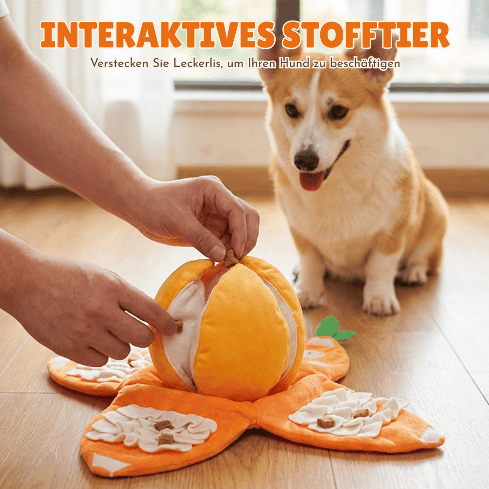 Dog Toy Interactive Treat Puzzle Plush Squeaker & Crinkle