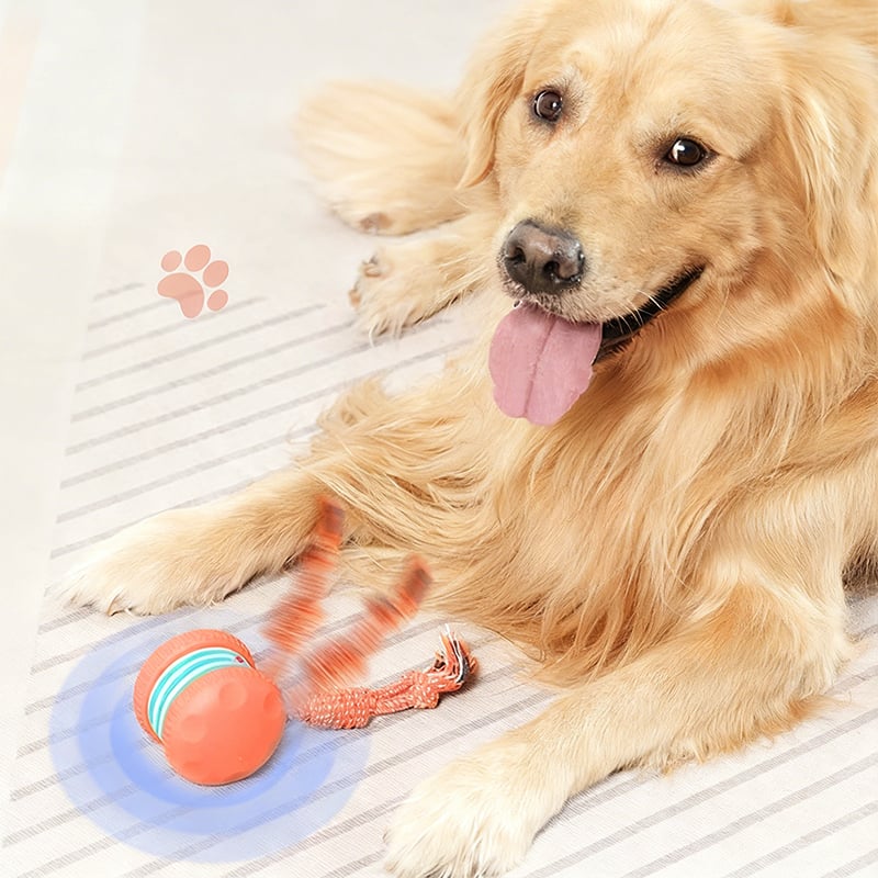 Dog Toy Motion-Activated & Two-Speed Chew-Resistant