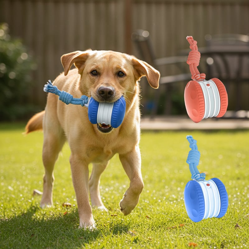 Dog Toy Motion-Activated & Two-Speed Chew-Resistant