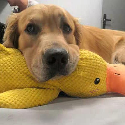Dog Toy Plush Realistic Quacking Sound No Batteries