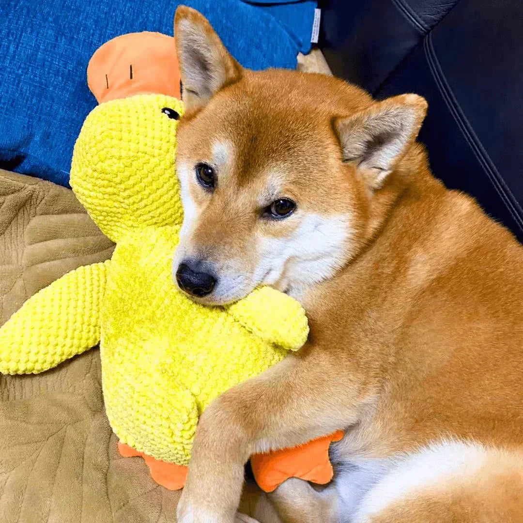 Dog Toy Plush Realistic Quacking Sound No Batteries