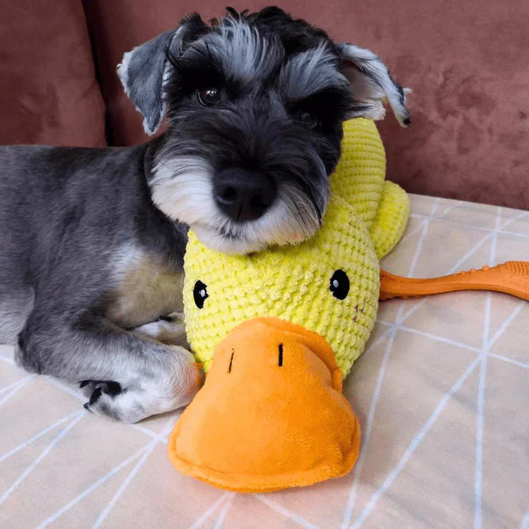 Dog Toy Plush Realistic Quacking Sound No Batteries