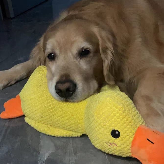 Dog Toy Plush Realistic Quacking Sound No Batteries