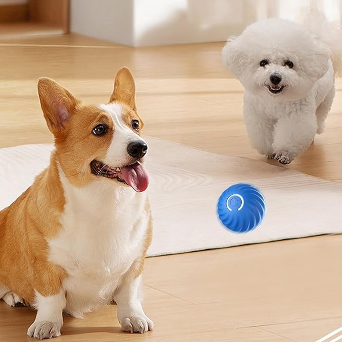 Dog Toy Self-Moving Sensors & LED Light