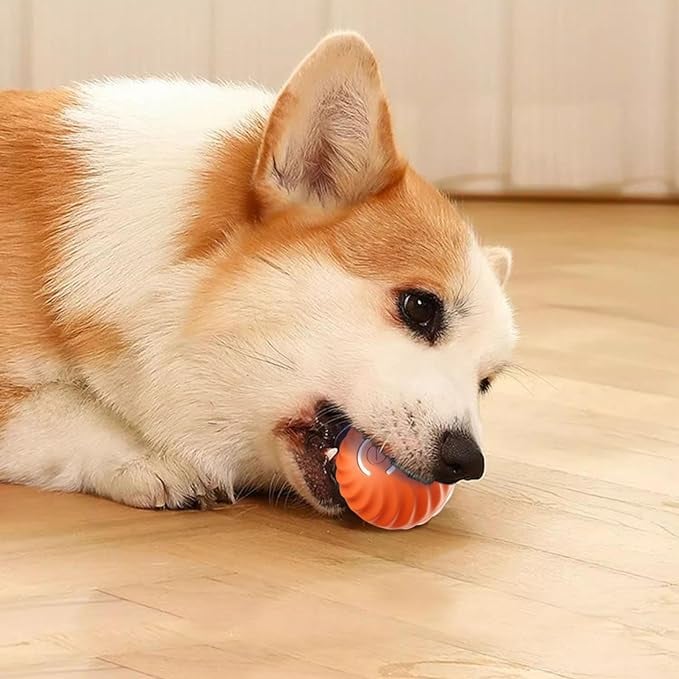 Dog Toy Self-Moving Sensors & LED Light
