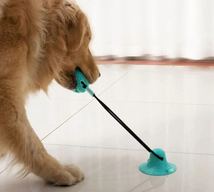 Dog Tug Toy Durable TPR Suction-Cup Teeth-Cleaning