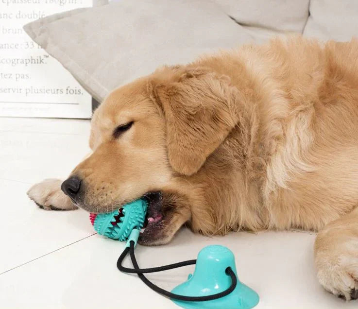 Dog Tug Toy Durable TPR Suction-Cup Teeth-Cleaning