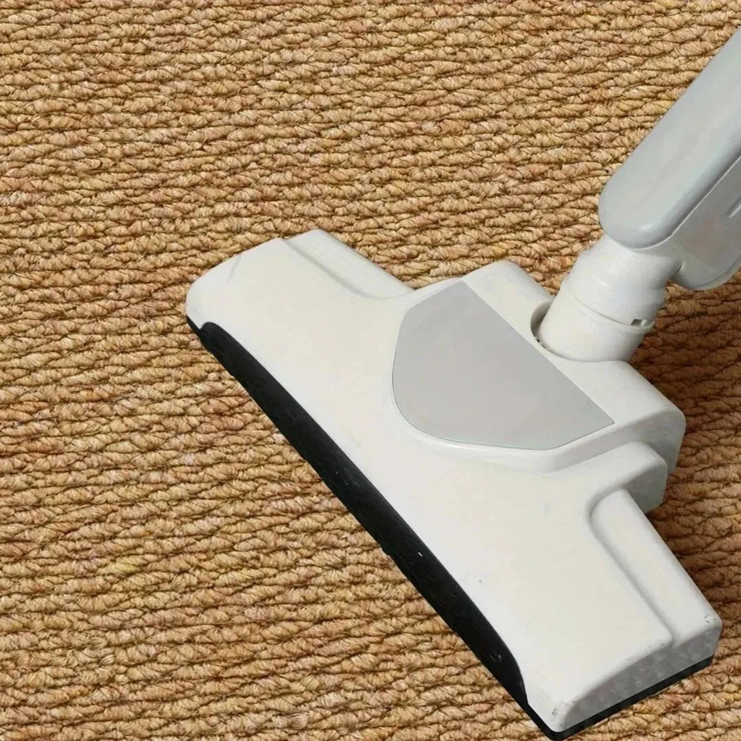 Doormat Absorbent & Quick-Drying Stain-Resistant