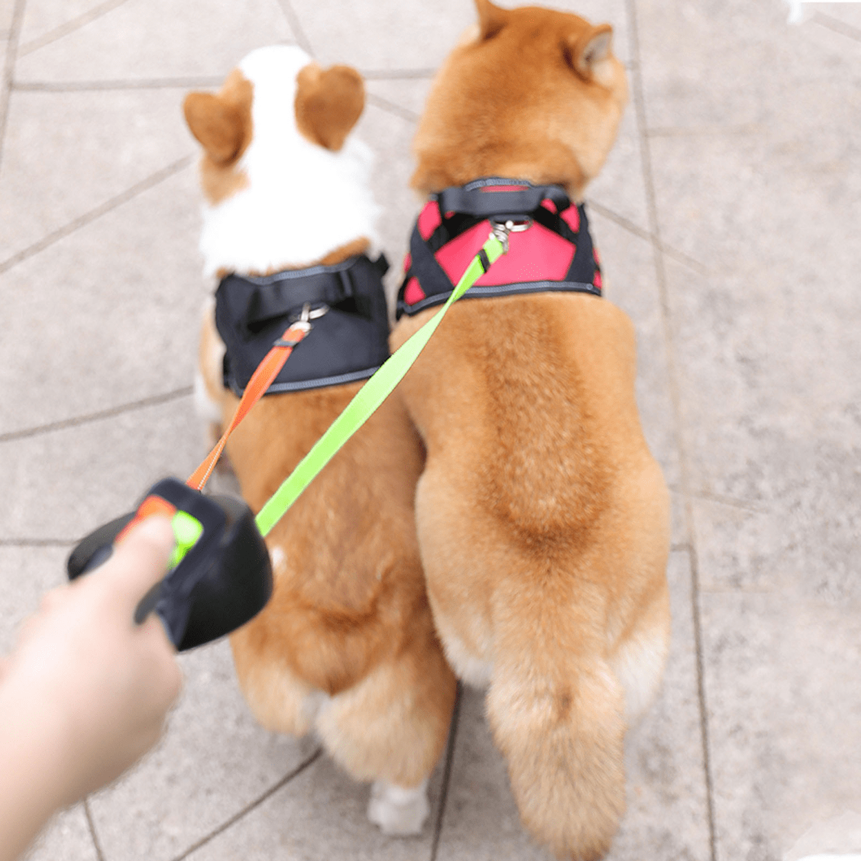 Double Dog Leash 360° Anti-Tangle One-Hand Control LED Light
