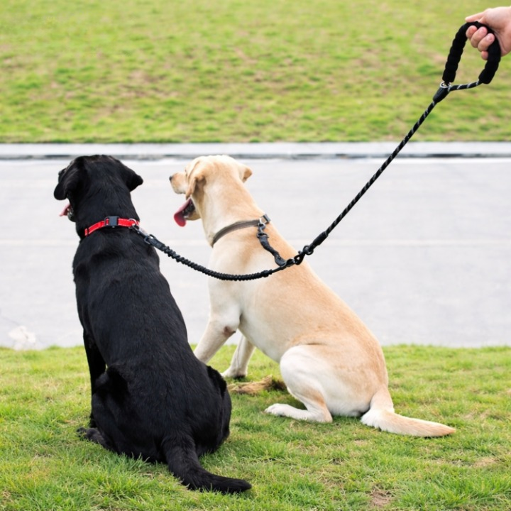 Double Dog Leash 360 Degree Swivel Shock-Absorbing Bungee