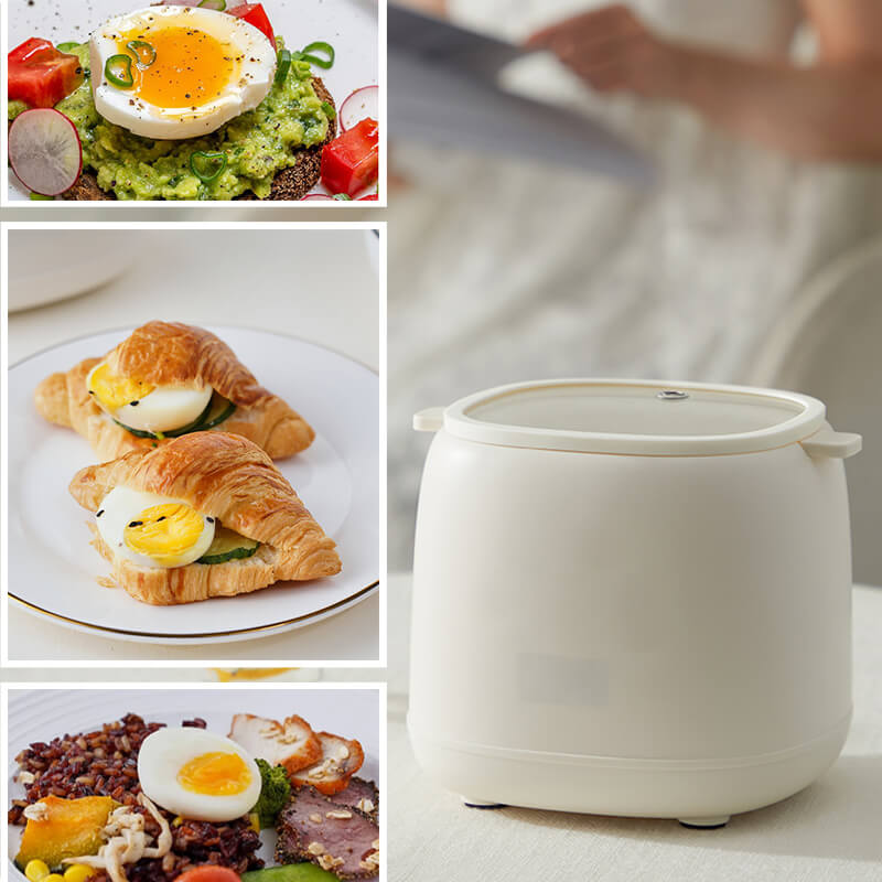 Electric Egg Cooker Adjustable Soft-Medium-Hard 4-Egg Auto Shut-Off