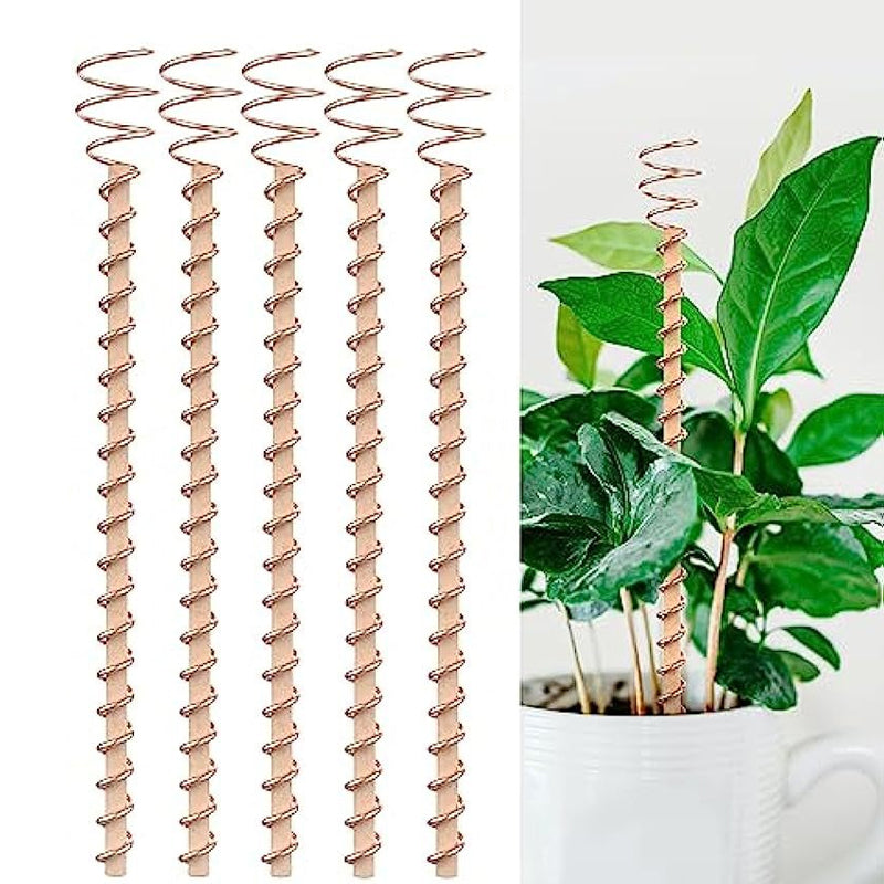 Electroculture Antennas Pure Copper Spiral Set of 5