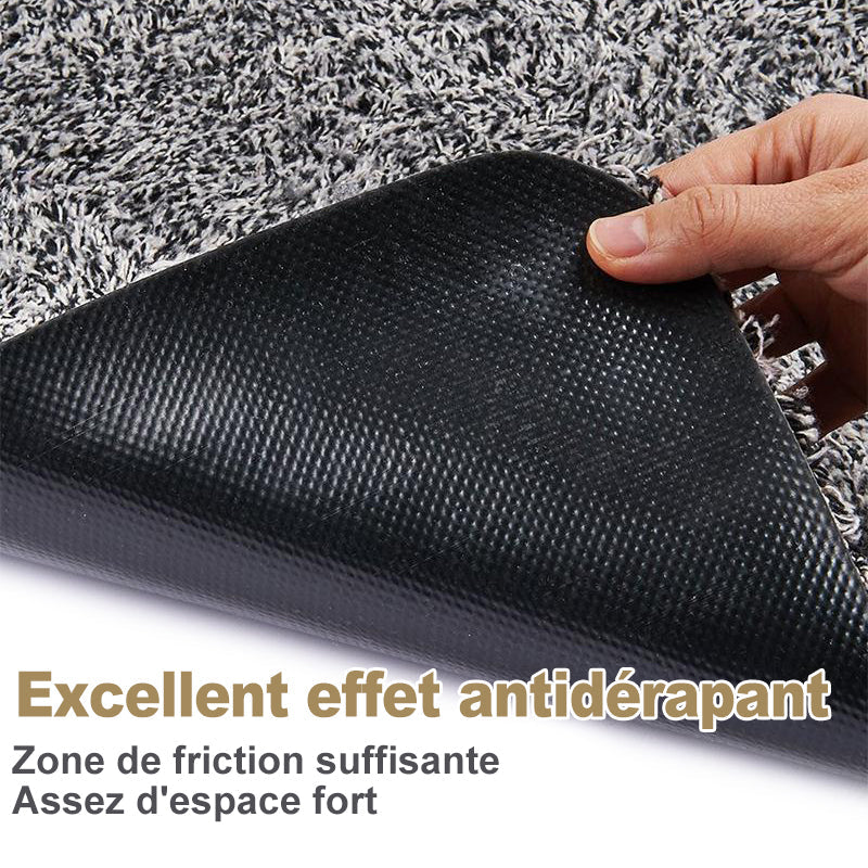 Entryway Doormat Nano-Absorbent Non-Slip Rubber Backing