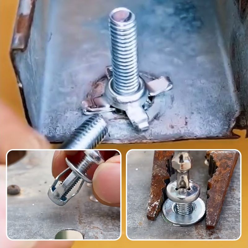 Expansion Bolt Set Zinc-Plated Flower Nut M4x20mm 20 Pieces