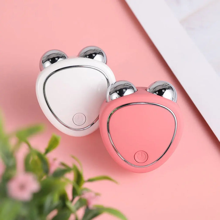 Facial Massager EMS Microcurrent Dual Roller USB Rechargeable