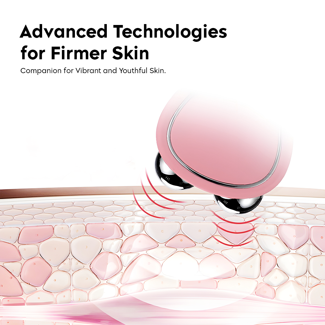 Facial Massager EMS Microcurrent Dual Roller USB Rechargeable