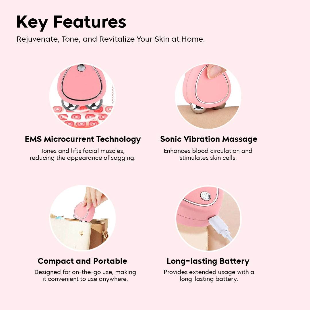 Facial Massager EMS Microcurrent Dual Roller USB Rechargeable