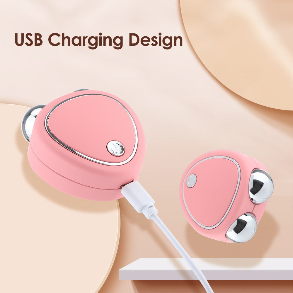 Facial Massager EMS Microcurrent Dual Roller USB Rechargeable