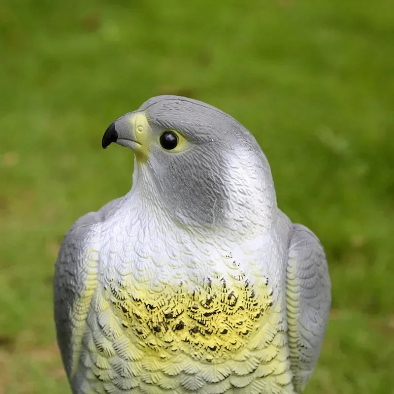 Falcon Decoy Lifelike Weatherproof PE Resin