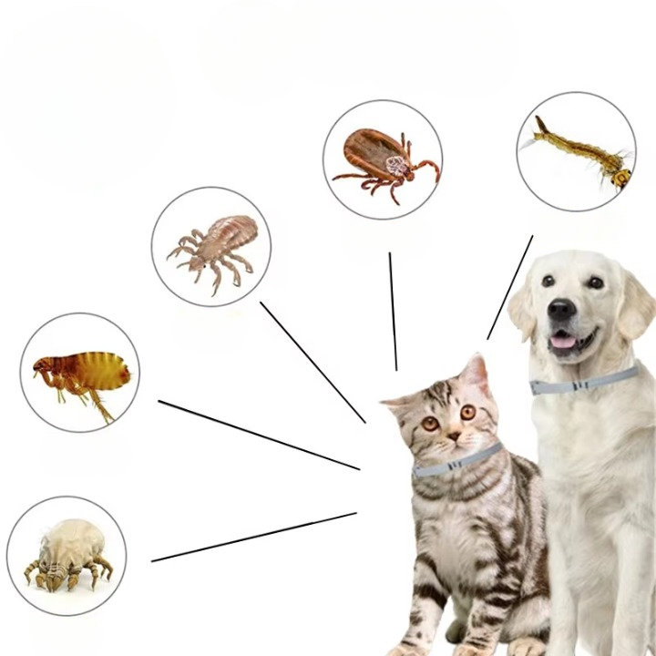Flea & Tick Collar 8 Month Plant Oils Waterproof