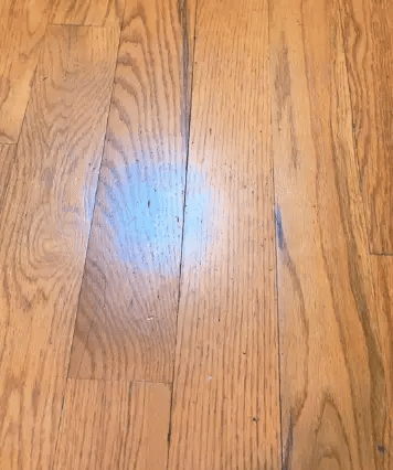 Floor Cleaner & Polish High-Gloss Streak-Free Scratch Protection