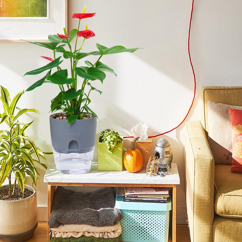 Flower Pot Self-Watering Cotton Wick & Transparent Reservoir