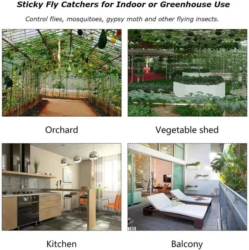 Fly Sticky Traps Double-Sided Adhesive Chemical-Free 40 Rolls
