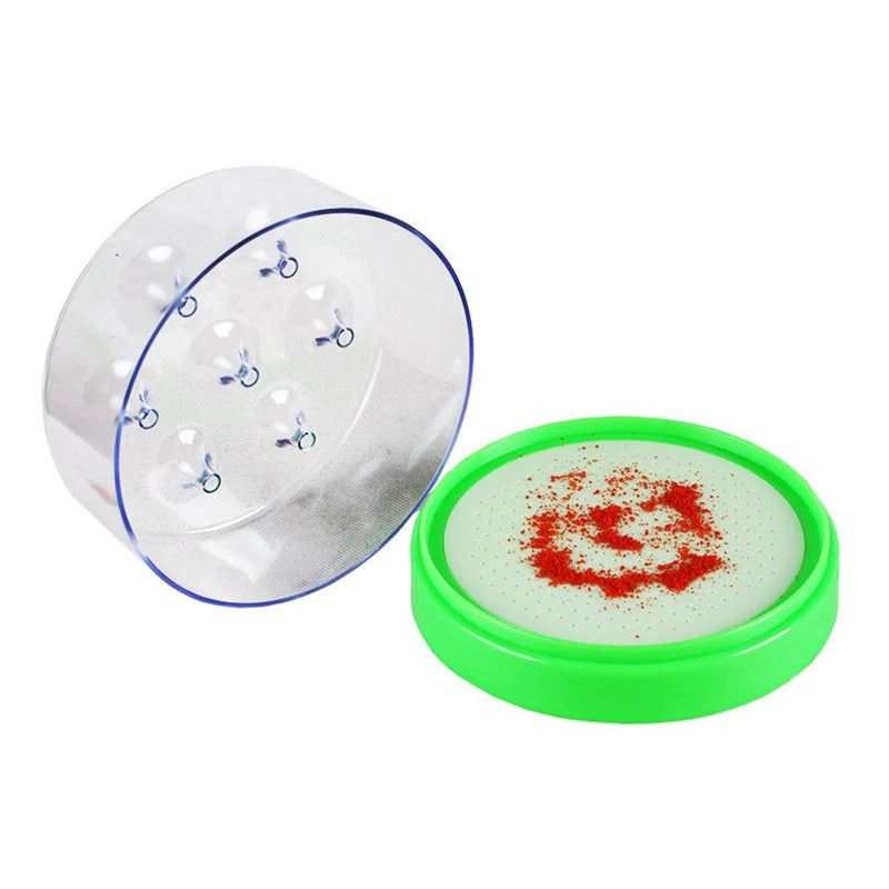 Fly Trap One-Way Funnel Cordless Chemical-Free Indoor & Outdoor