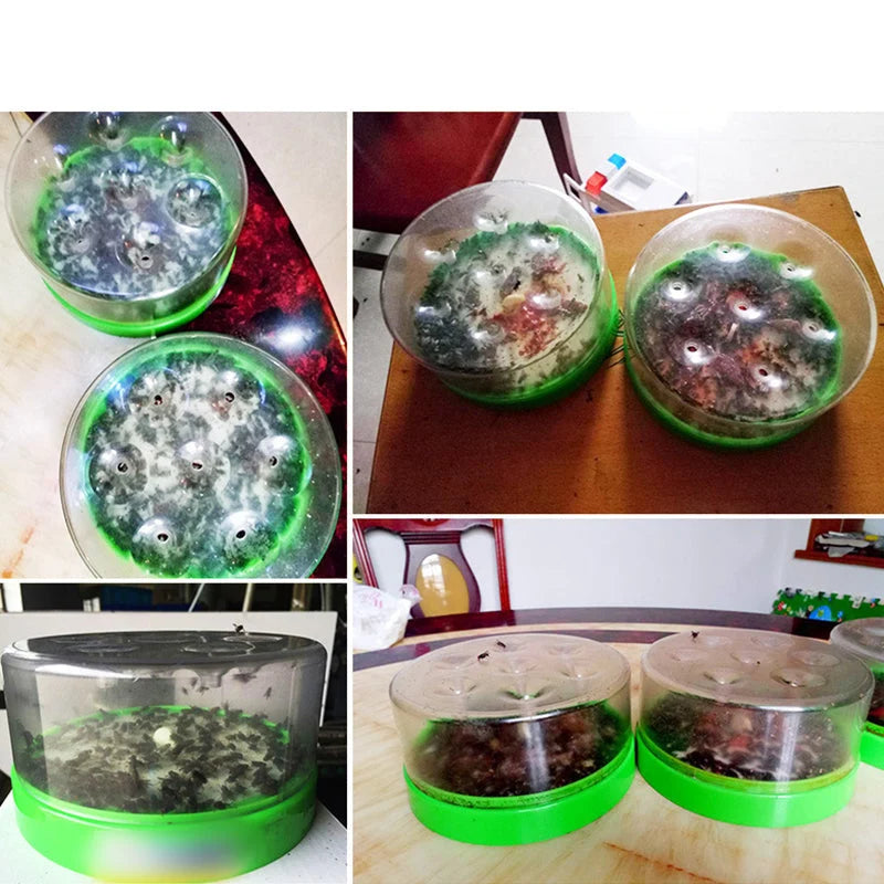 Fly Trap One-Way Funnel Cordless Chemical-Free Indoor & Outdoor