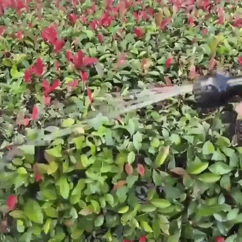 Garden Hose Expandable 7-Spray Anti-Kink