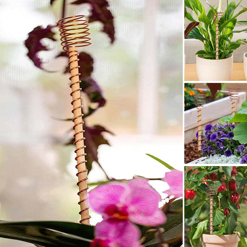 Garden Plant Stakes Pure Copper Weather-Resistant Set of 5