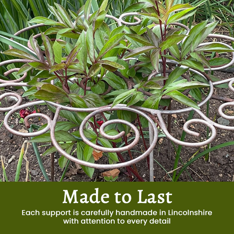 Garden Plant Support Decorative Scrollwork Supports Heavy Blooms