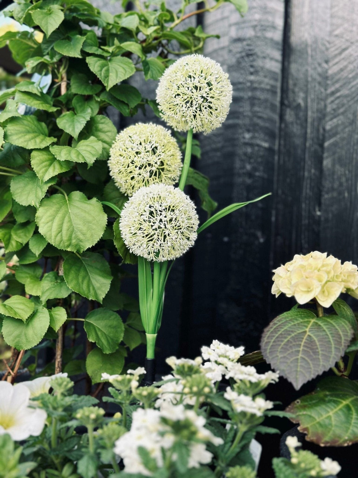 Garden Stake Solar Flower Spheres Set of 3
