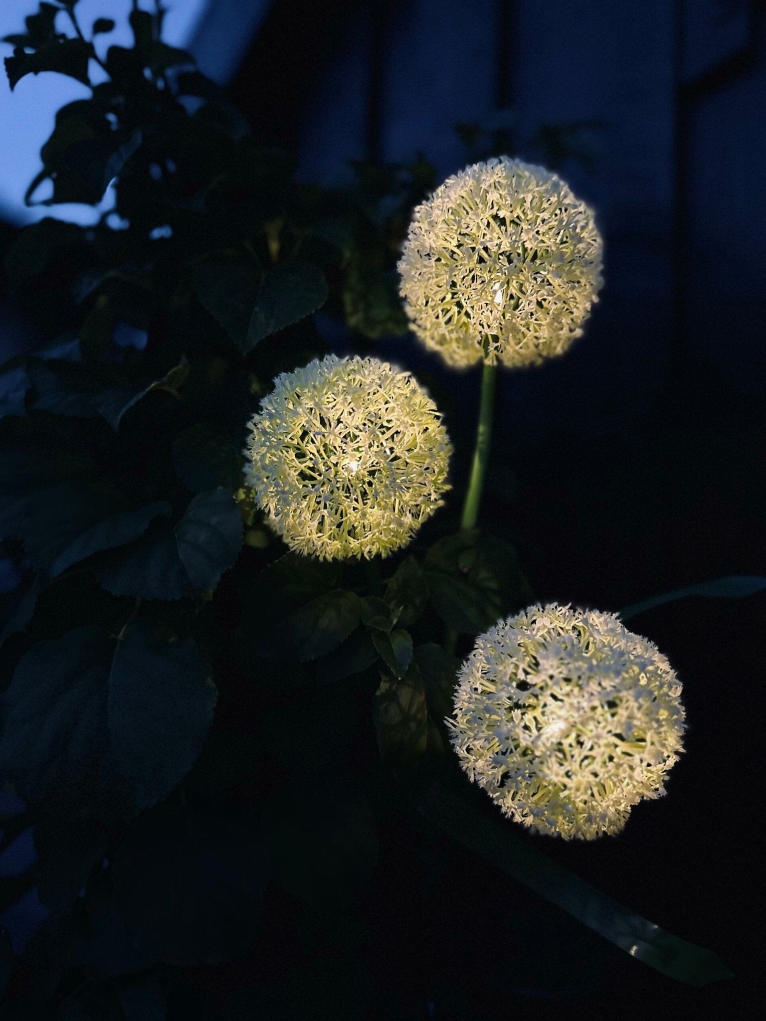 Garden Stake Solar Flower Spheres Set of 3
