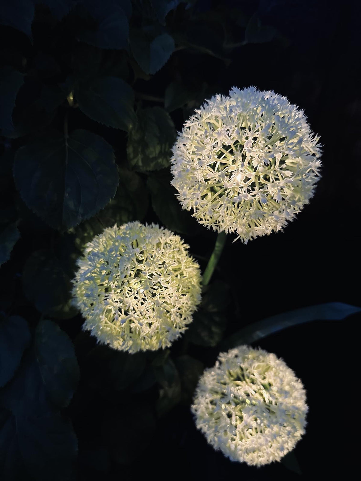 Garden Stake Solar Flower Spheres Set of 3