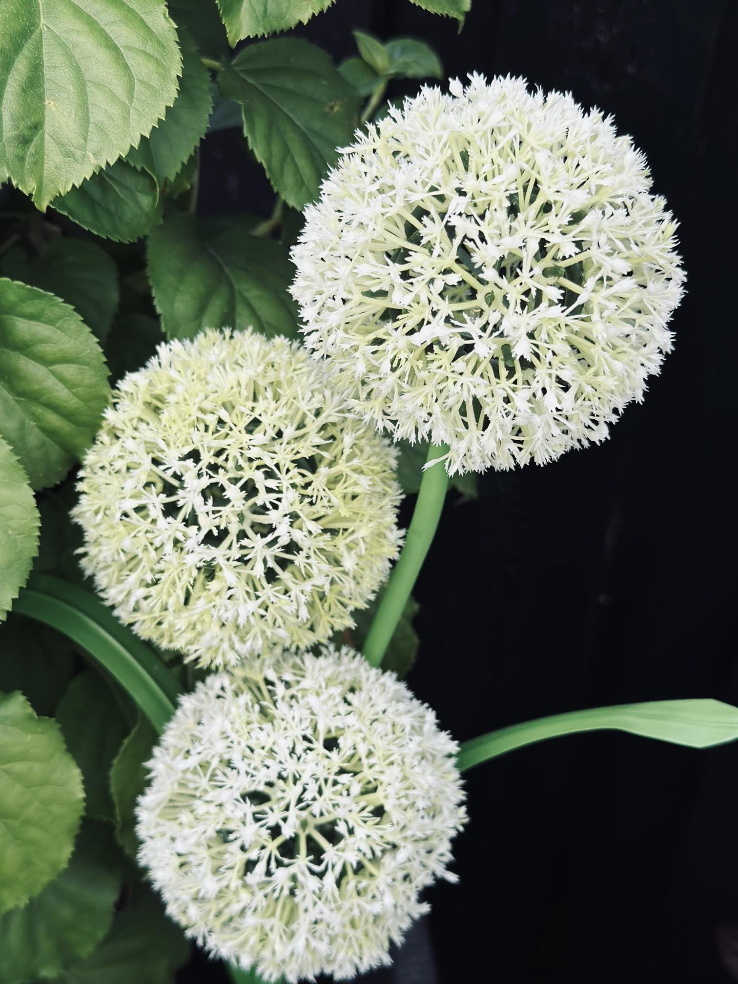 Garden Stake Solar Flower Spheres Set of 3