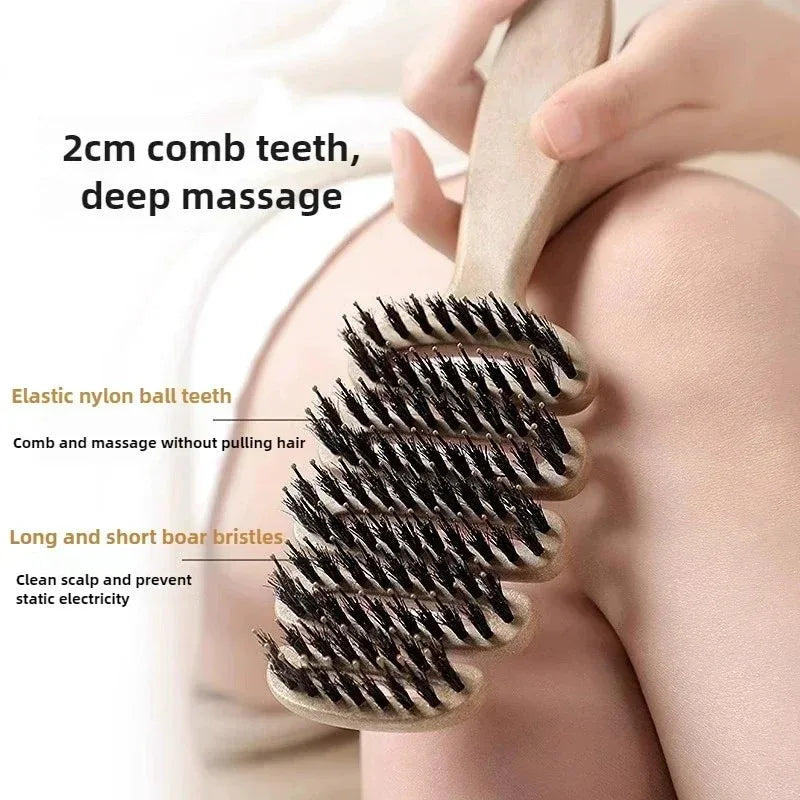 Hairbrush Boar Bristles Gentle Detangling