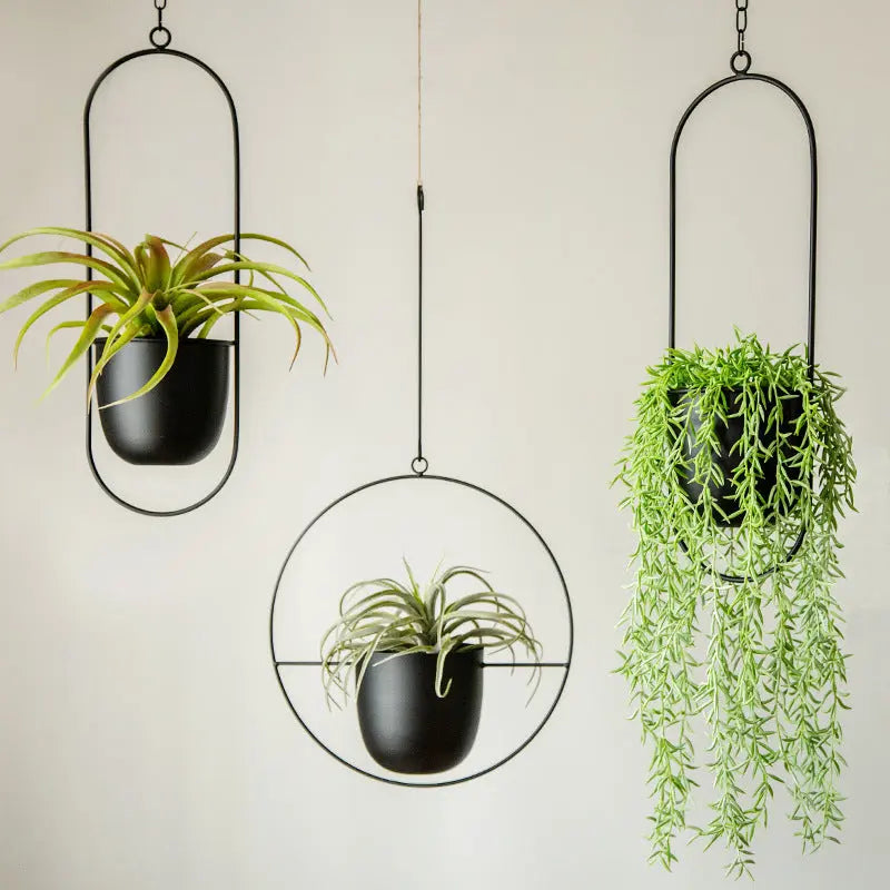 Hanging Plant Pot Iron Wall-Mounted Space-Saving