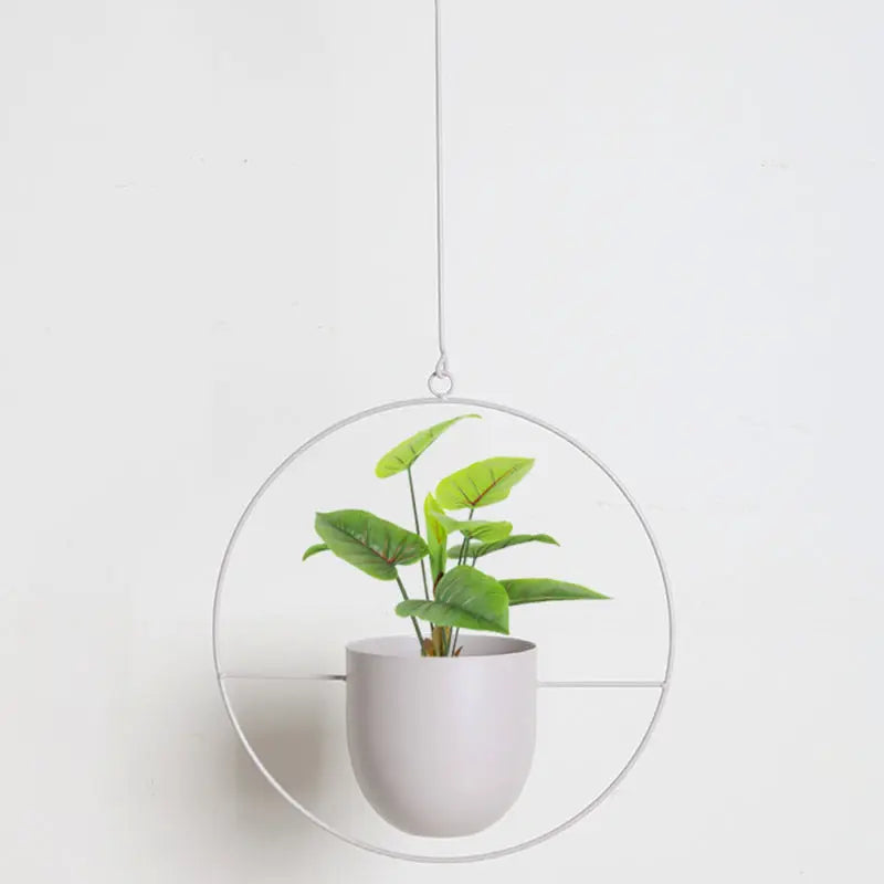 Hanging Plant Pot Iron Wall-Mounted Space-Saving